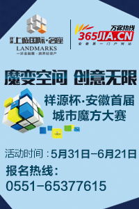 馬鋼股份收購法國公司 境外收購成皖企重要投資方式，引領計算機軟硬件開發新篇章