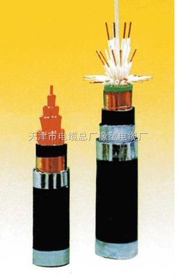 KVV、KVV22、KVV32控制電纜規格型號詳解與國家標準的遵循——以天津市電纜總廠橡塑電纜廠為例